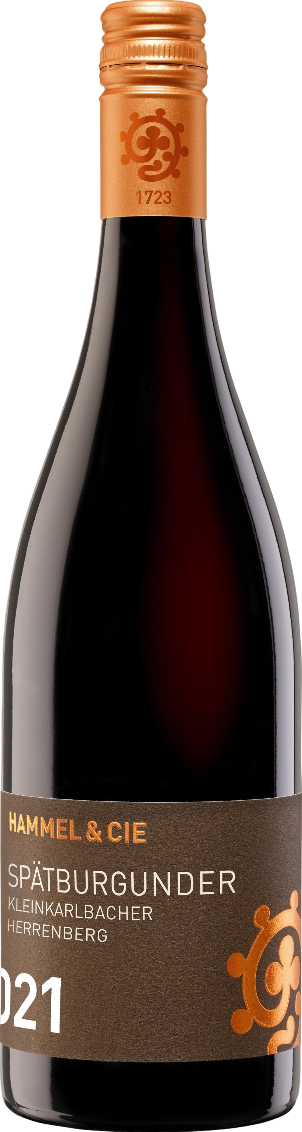 Kleinkarlbacher Herrenberg Spätburgunder