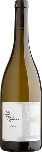 Gerlachsheimer Herrenberg Gewann Hohenstadten Alte Reben Silvaner