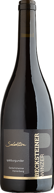 Gerlachsheimer Herrenberg Selektion Spätburgunder
