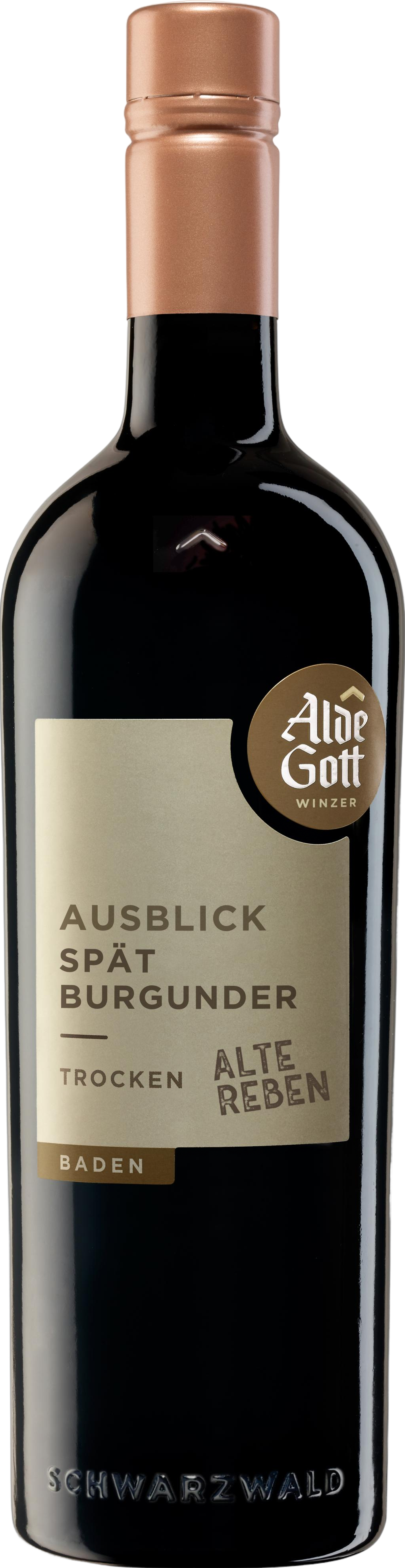 Ausblick Alte Reben Spätburgunder