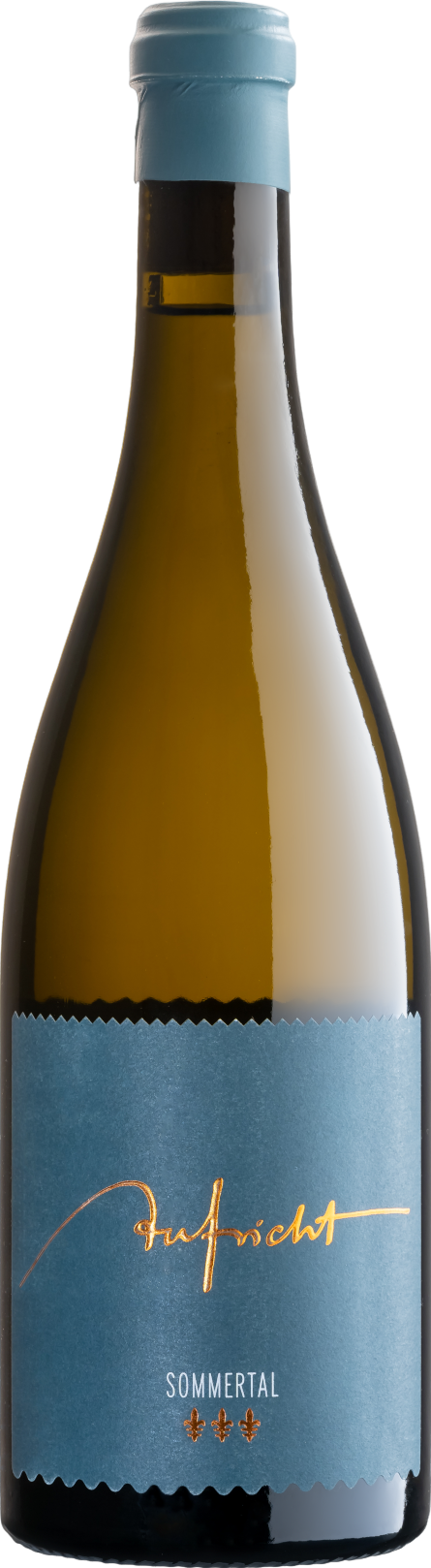 Sommertal Weißburgunder