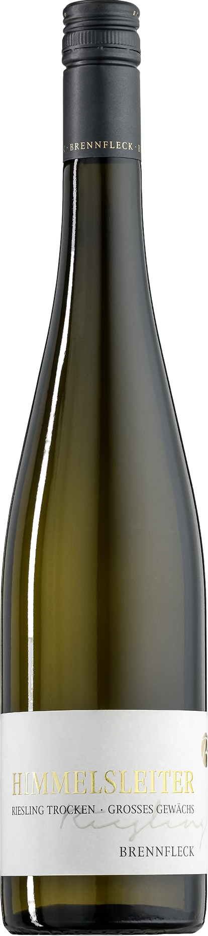 Escherndorfer Lump Himmelsleiter GG Riesling