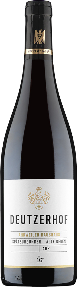 Ahrweiler Daubhaus Alte Reben Spätburgunder 1. Lage