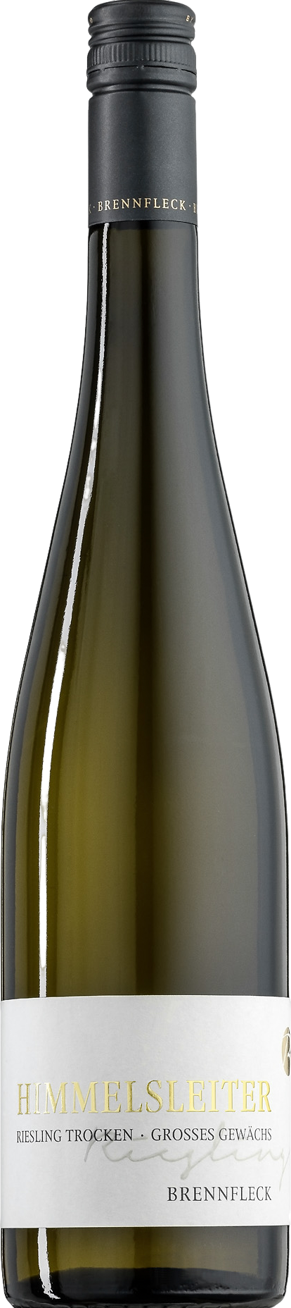 Escherndorfer Lump Himmelsleiter GG Riesling