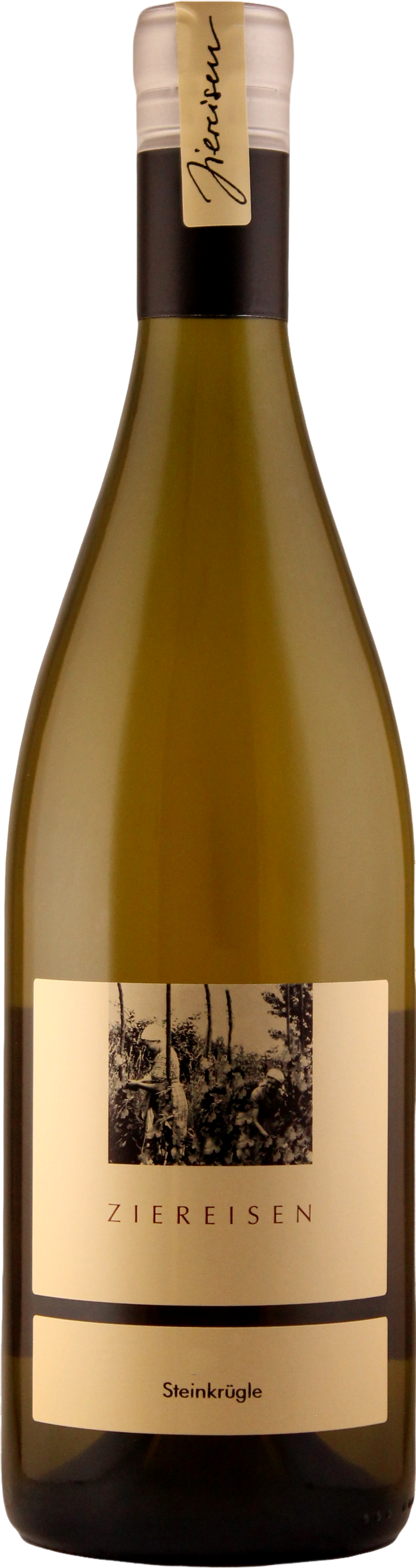 Steingrüble Gutedel