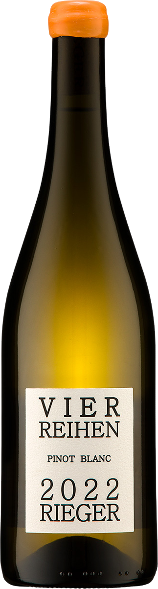 Vier Reihen Pinot Blanc
