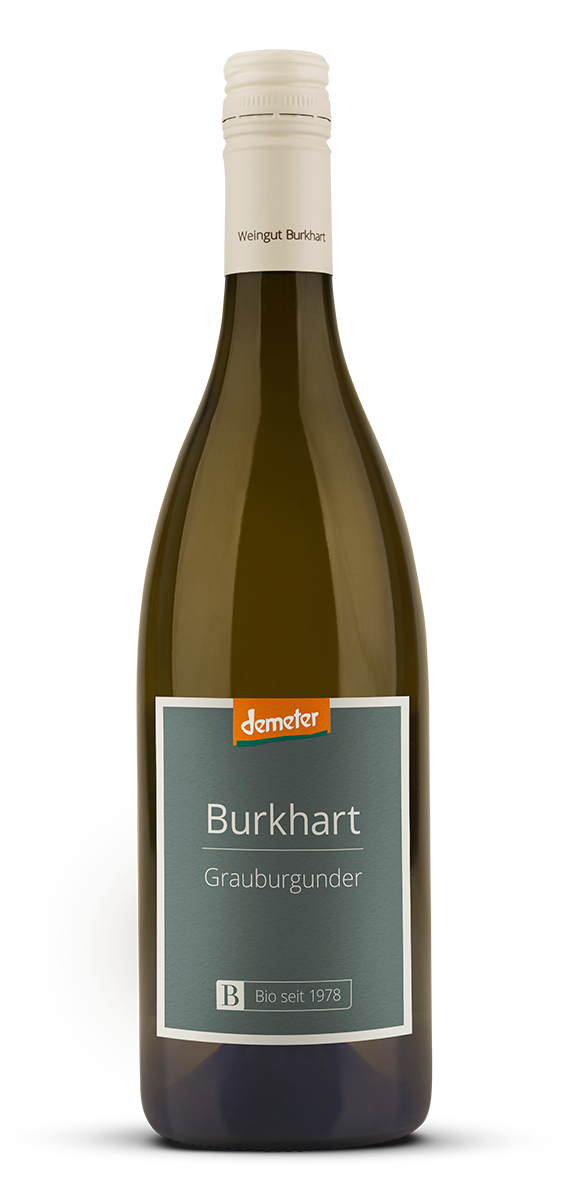 Jechtinger Steingrube Grauburgunder Kabinett trocken