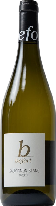 Nitteler Leiterchen Sauvignon Blanc