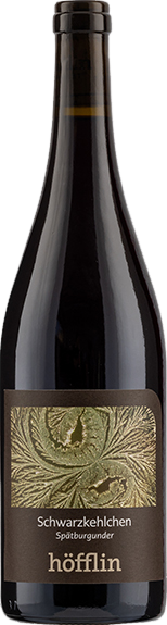 Schwarzkehlchen Spätburgunder