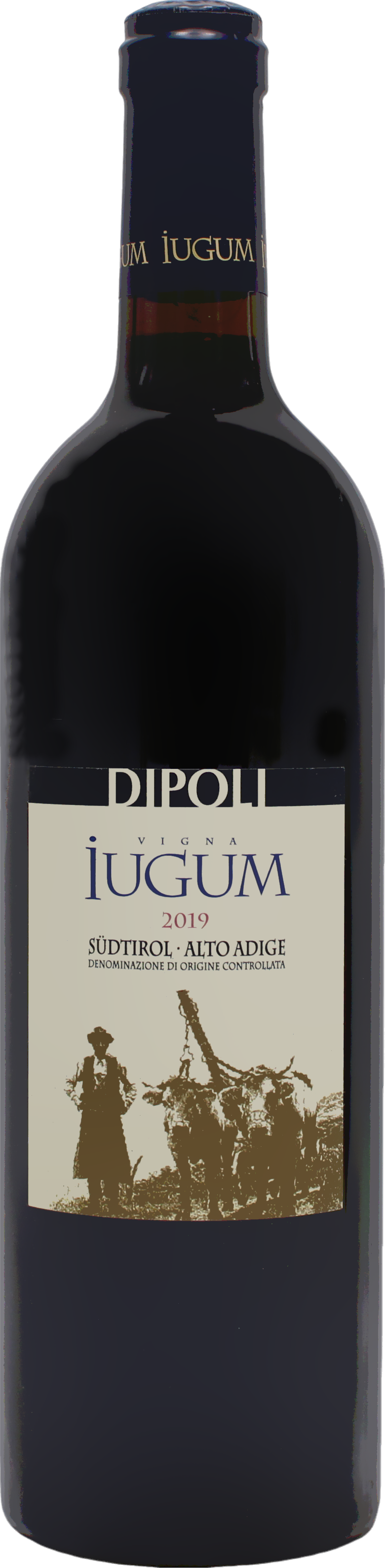 Vigna Iugum Merlot-Cabernet Sauvignon