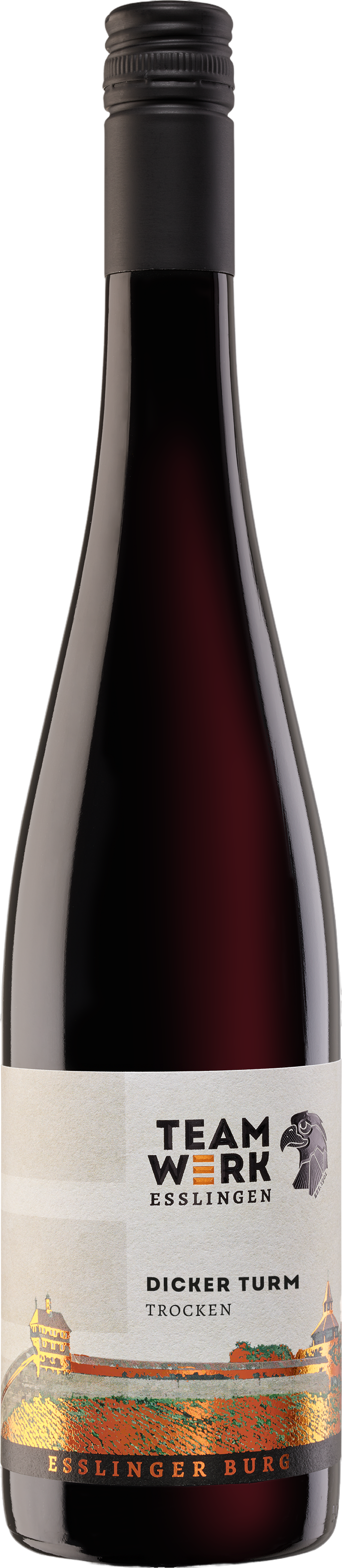 Esslinger Burg Dicker Turm