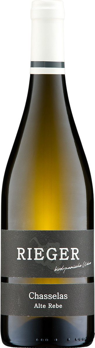 Alte Rebe Chasselas