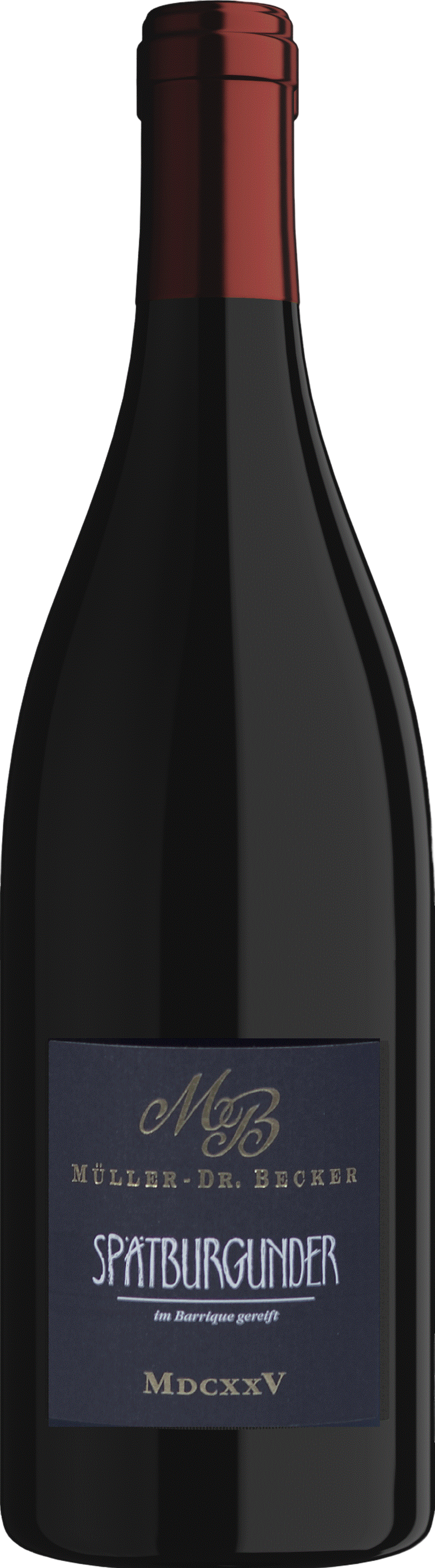 Dalsheimer Bürgel MDCXXV Spätburgunder