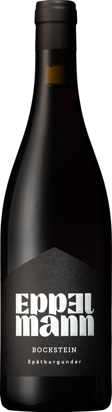 Elsheimer Bockstein Spätburgunder