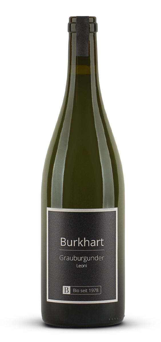 Jechtinger Steingrube Leoni Grauburgunder Spätlese trocken