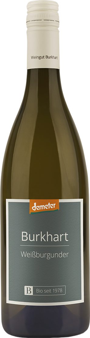 Jechtinger Steingrube Weißburgunder Kabinett trocken