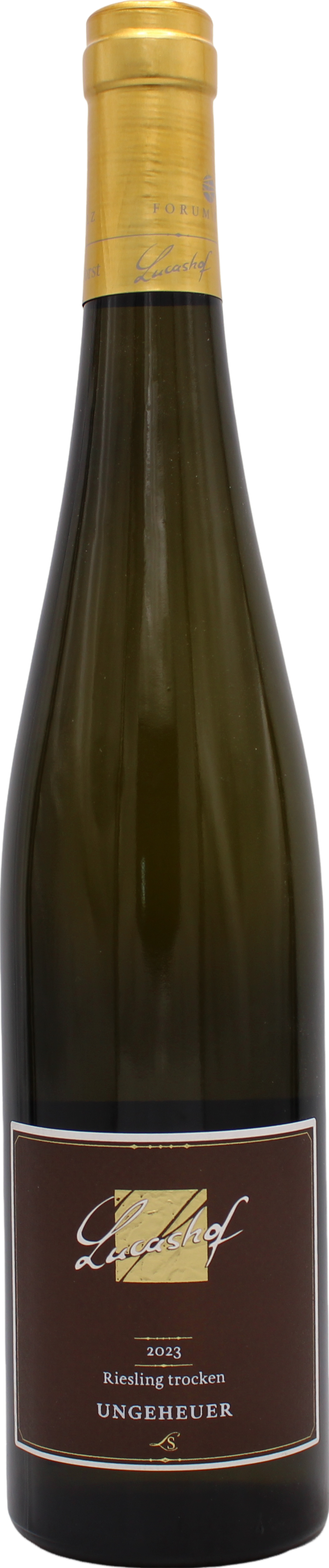 Forster Ungeheuer Große Lage Riesling