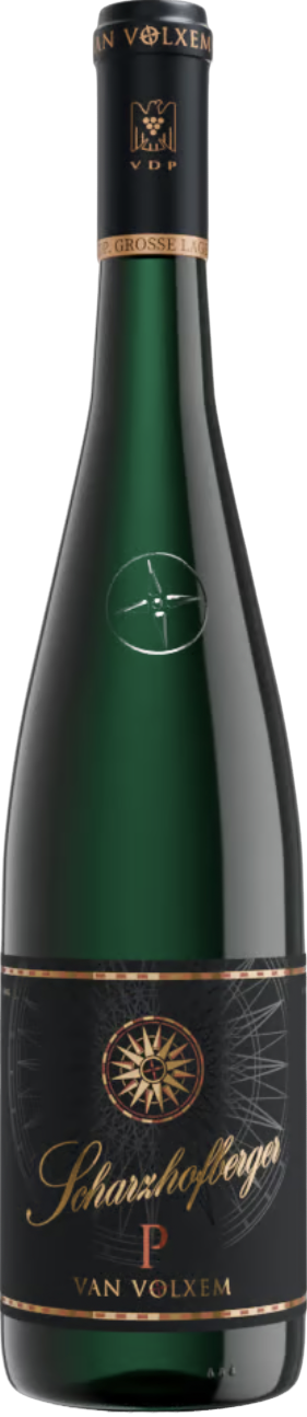 Scharzhofberger P Riesling GG